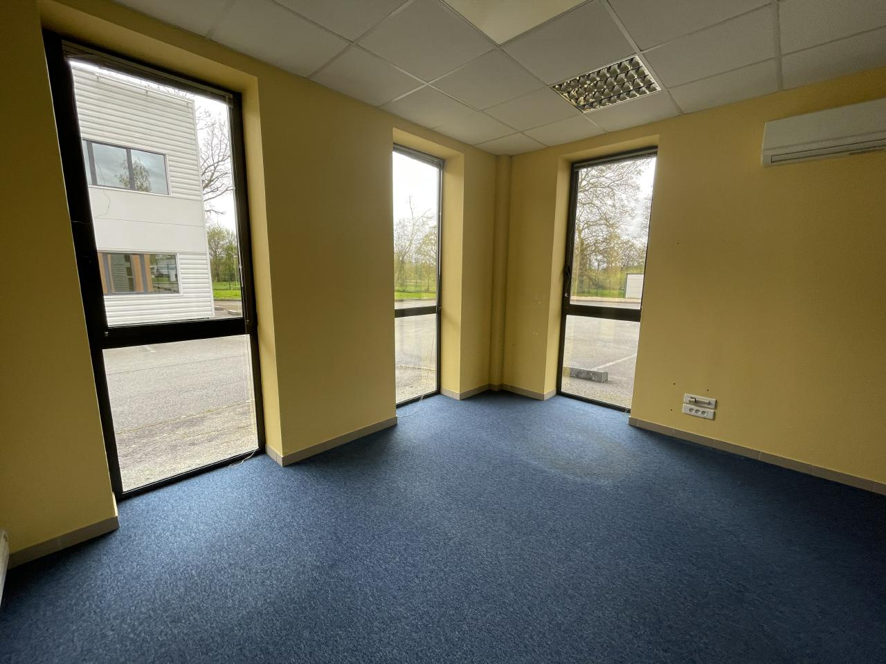 Local d'activité Vern-sur-Seiche 619m² Location local d'activité Vern-sur-Seiche Ille-et-Vilaine OLACT2310938 2